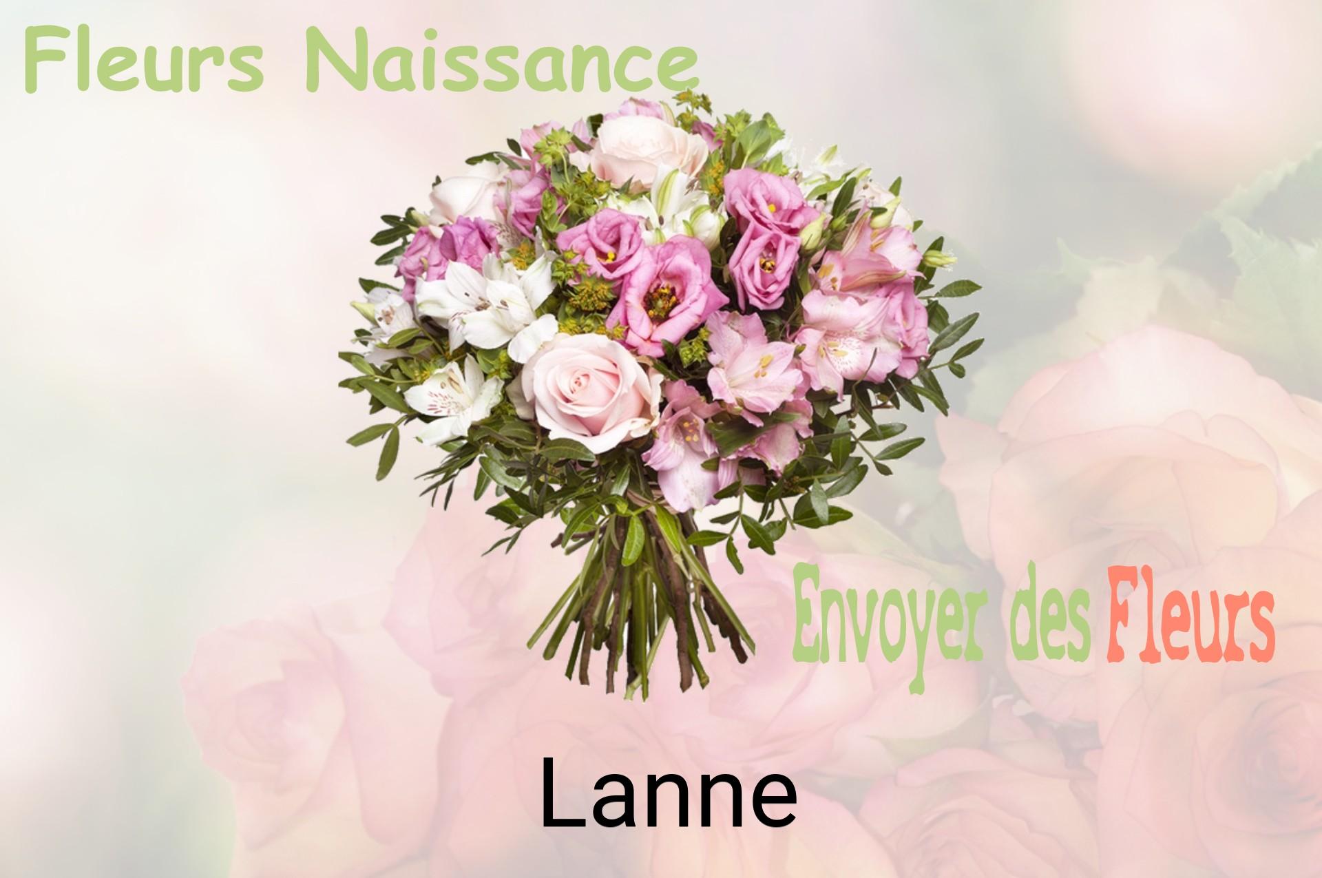 Bouquet de fleurs de naissance livré à Lanne